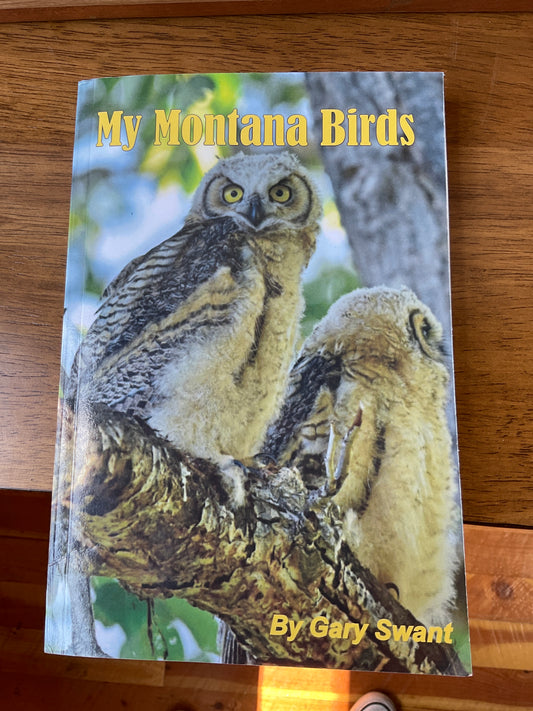 My Montana Birds
